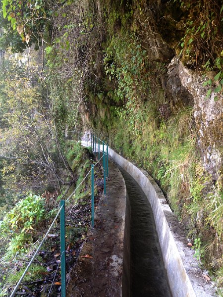 IMG_3003.jpg - Levada Nova, auch mal feucht