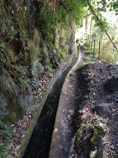 IMG_3026.jpg - Levada Moinho