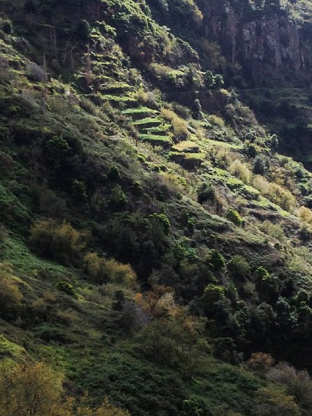 IMG_3037.jpg - Wiesen und G�rten