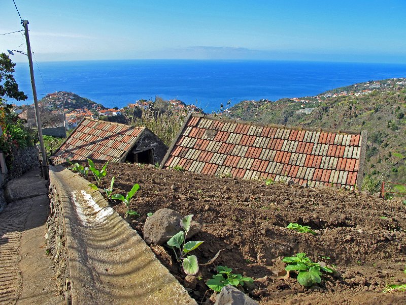 IMG_8861.JPG -                                Hoch �ber Lombada und Ponta do Sol