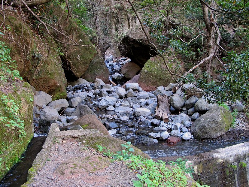 IMG_8891.JPG -                                Auf dem R�ckweg