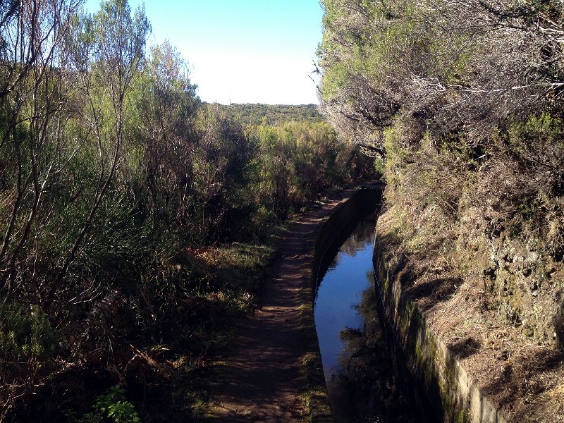 IMG_2705.jpg - Levada d'Alecrim
