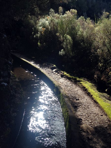 IMG_2710.jpg - Levada d'Alecrim