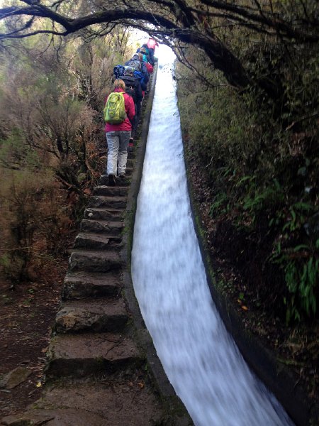 IMG_2711.jpg - Levada d'Alecrim