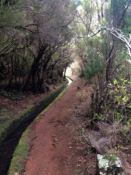 IMG_2730.jpg - Levada d'Alecrim