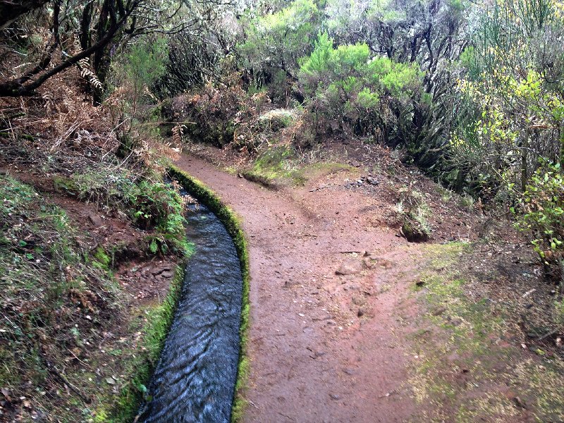 IMG_2734.jpg - Rechts runter zum Lagoa do Vento, links rauf zur Levada do Lajedo