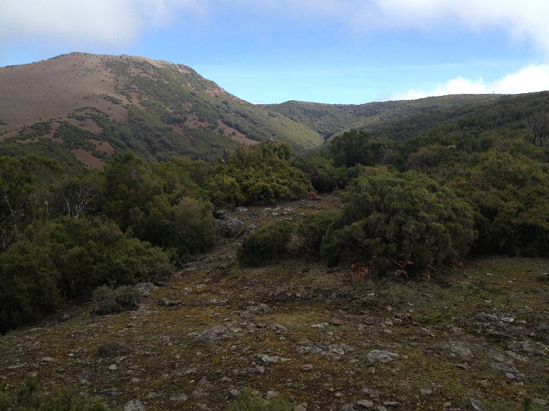 IMG_2736.jpg - Buschland unterhalb  Campo Pequeno