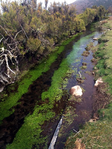 IMG_2737.jpg - Levada do Lajedo