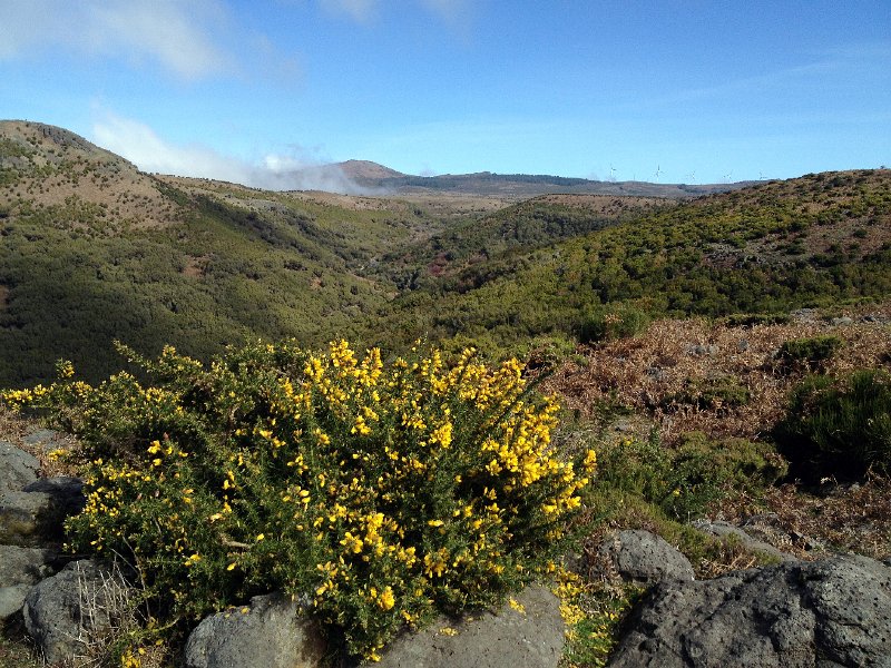 IMG_2740.jpg - Pico da Selada und Pico Ruivo do Paul