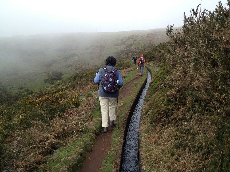 IMG_2748.jpg - Levada do Paul (R�ckweg nach Raba�al)
