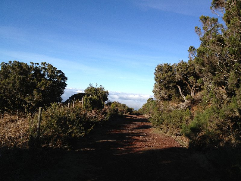 IMG_2768.jpg - Bica da Cana, Abstieg