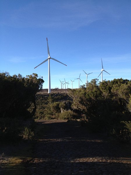 IMG_2770.jpg - Paul da Serra, Windpark