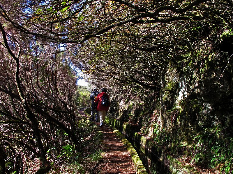 IMG_8294.JPG -                                Levada d'Alecrim