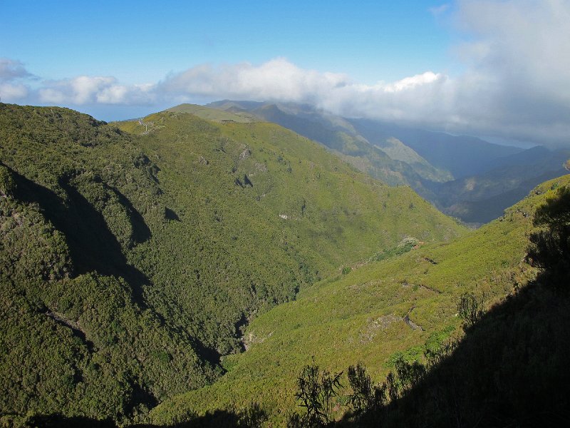 IMG_8305.JPG -                                Raba�al