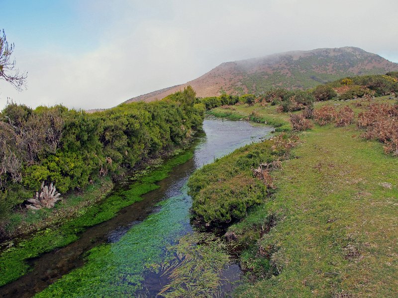 IMG_8363.JPG -                                Levada do Lajedo