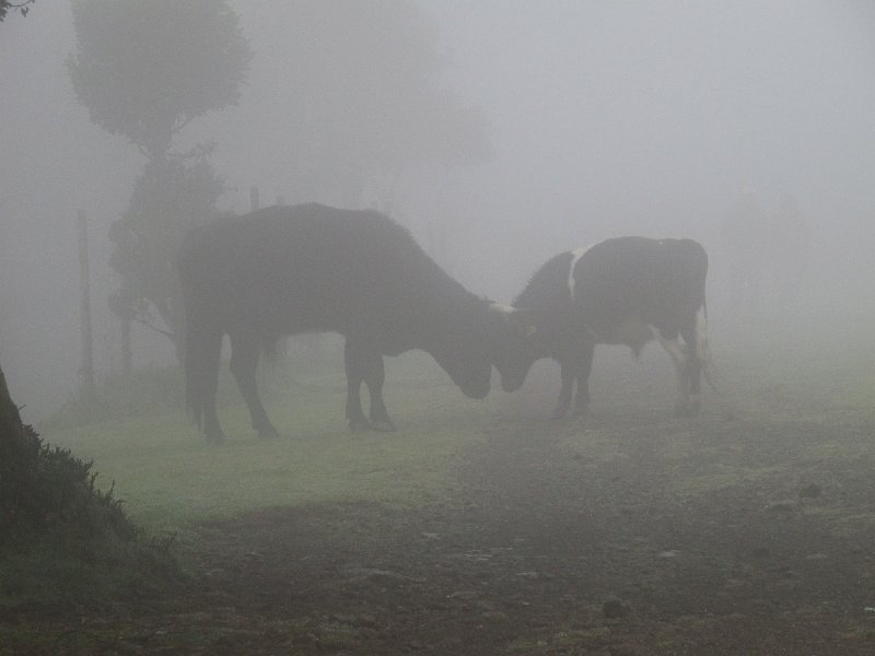 IMG_8413.JPG - T�te � t�te