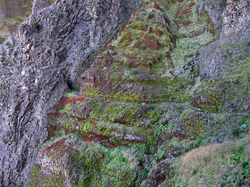 IMG_8519.JPG -                                Fels und Vegetation