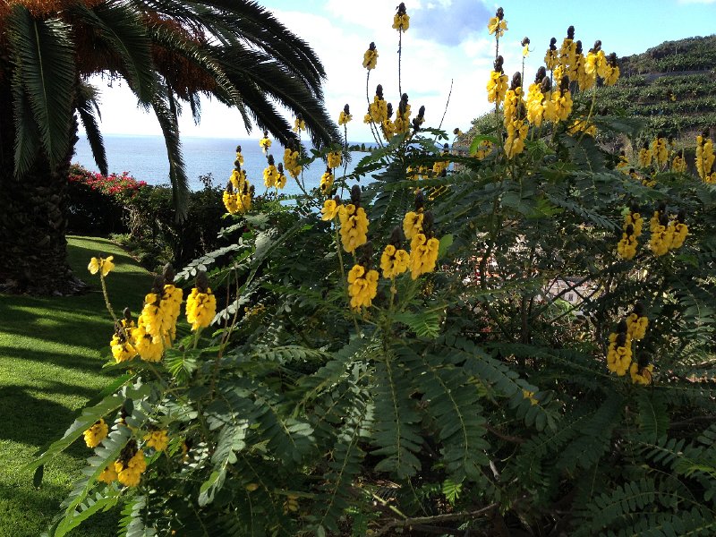 IMG_2688.jpg - Hotelanlage