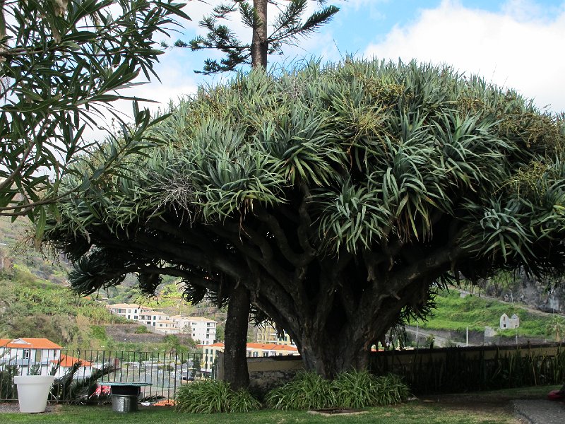 IMG_8287.JPG - Hotelanlage