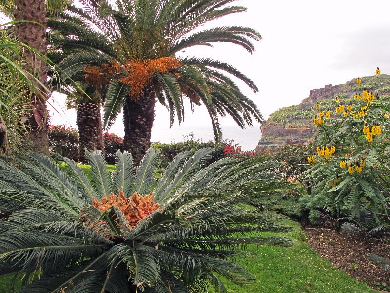 IMG_8787.JPG -                                Hotelanlage