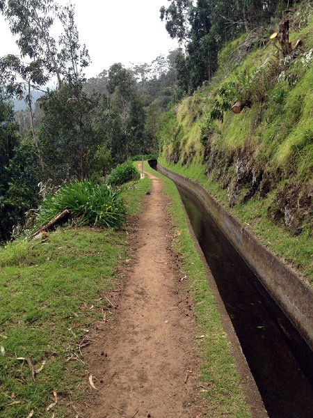 IMG_2937.jpg - Levada da Ribiera da Janela