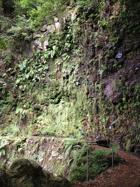 IMG_2948.jpg - Gr�ne H�lle