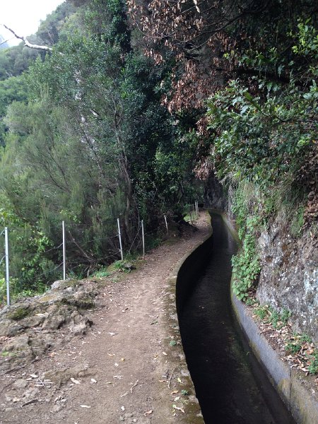 IMG_2951.jpg - Levada da Ribiera da Janela
