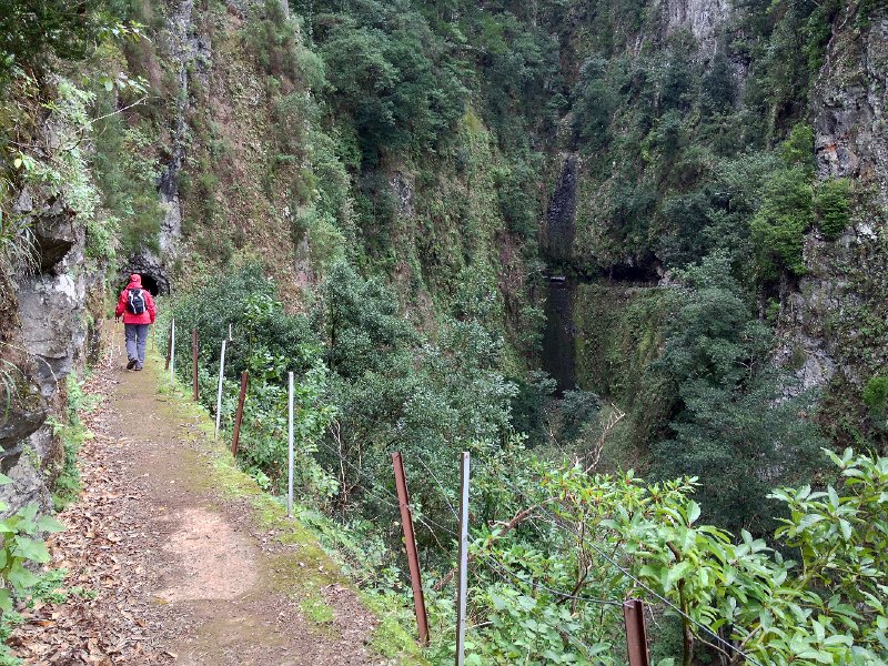 IMG_2962.jpg - Levada da Ribiera da Janela