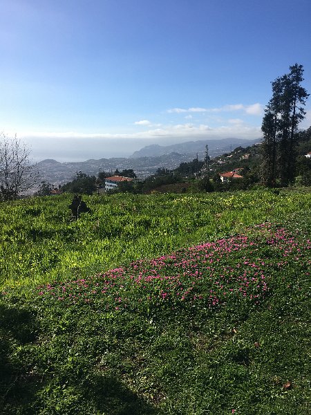 IMG_0651.JPG - Talblick nach Funchal