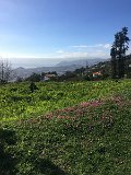 IMG_0651