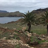 IMG_0599