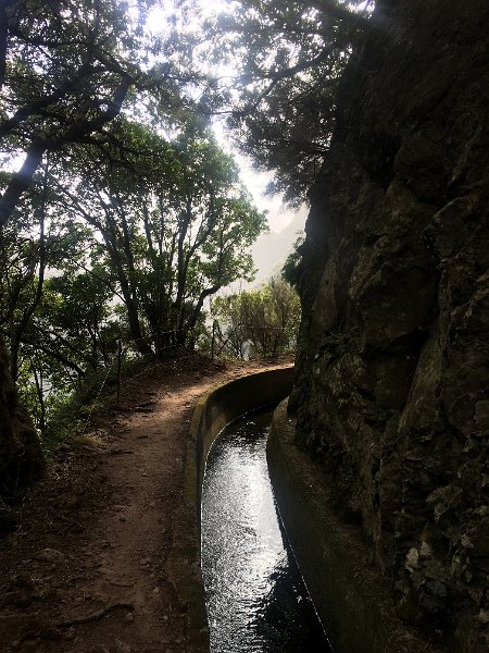 IMG_0131.JPG - Levada