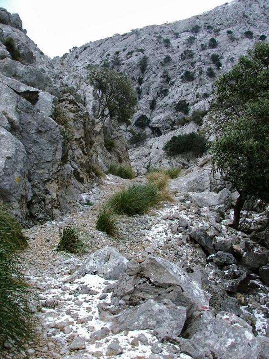 DSCF3630.jpg - Weg im Torrent d'Almedra
