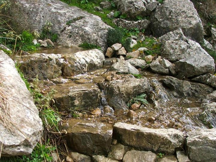 DSCF3657.jpg - Viel Wasser auf den Wegen