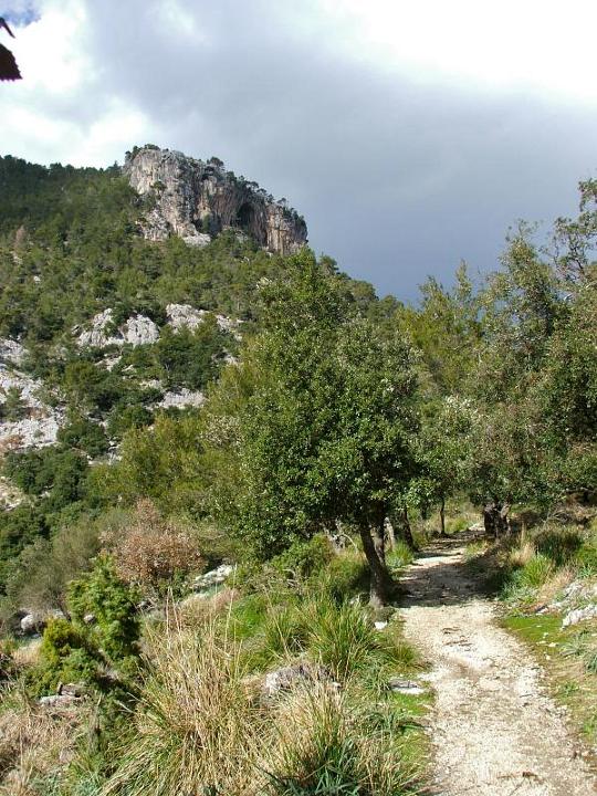 DSCF3675.jpg - Coll de sa Bassola