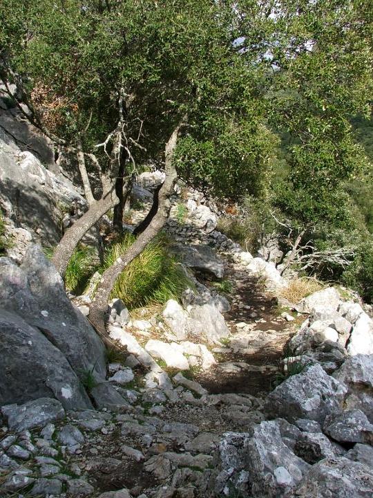 DSCF3685.jpg - Weg zum Coll d'es Prat