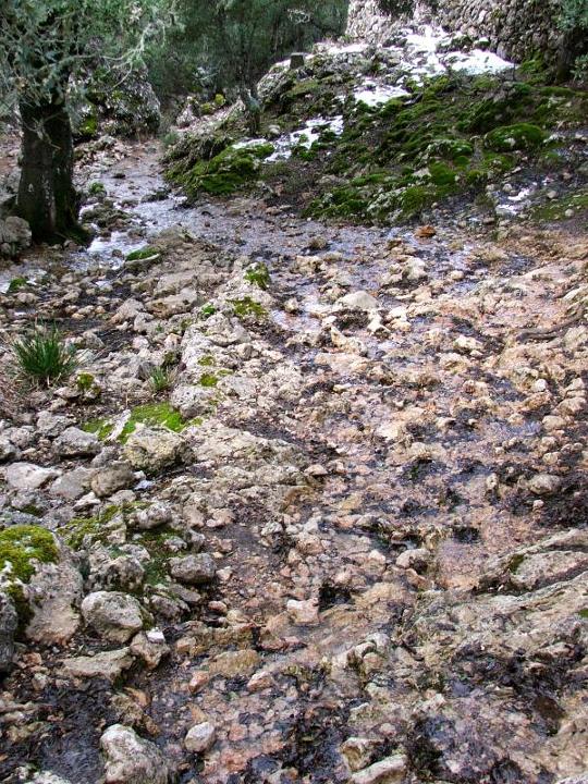 DSCF3691.jpg - Am Coll d'es Prat - mehr Wasser als Steine!