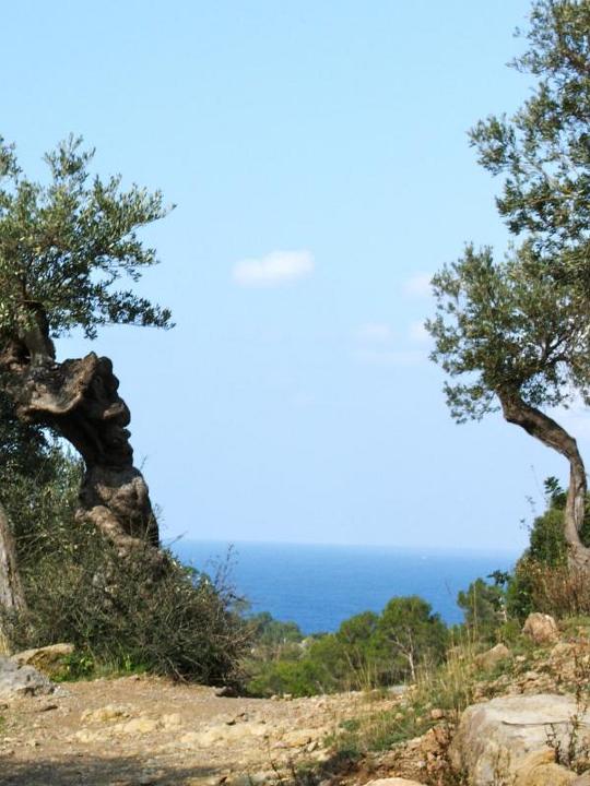DSCF3734.jpg - Bei Dei�