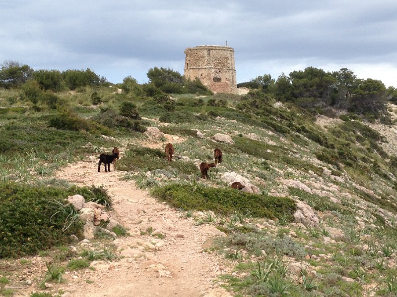 IMG_3380.jpg - Torre d'Albarca