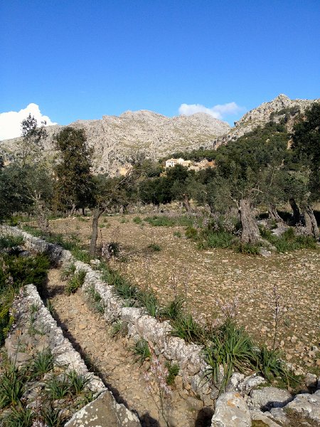 IMG_3403.jpg - Finca Mossa