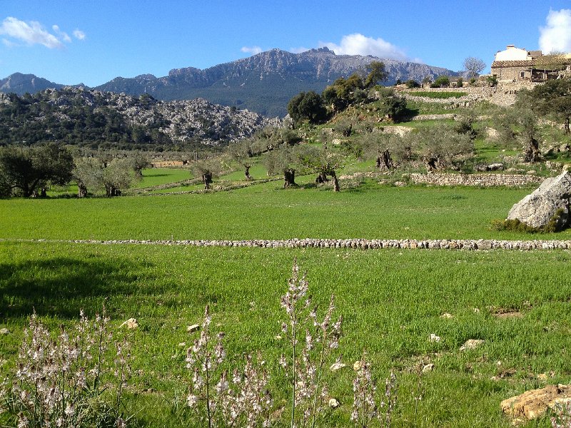 IMG_3404.jpg - Finca Mossa