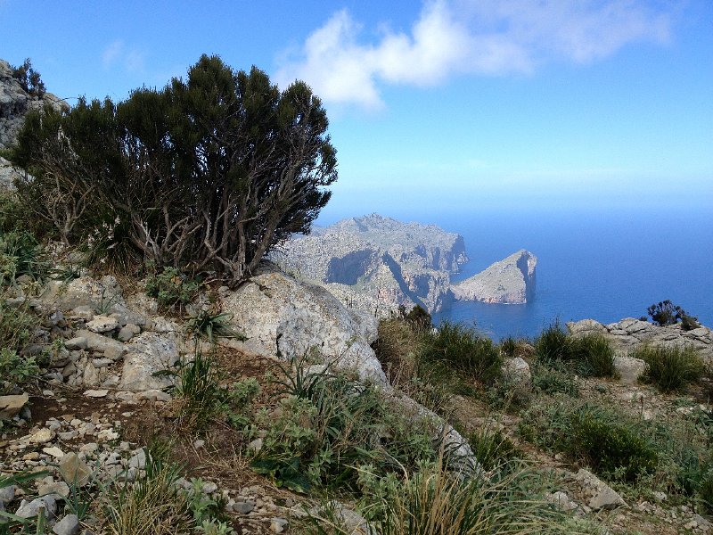 IMG_3421.jpg - Nordflanke des Puig Roig