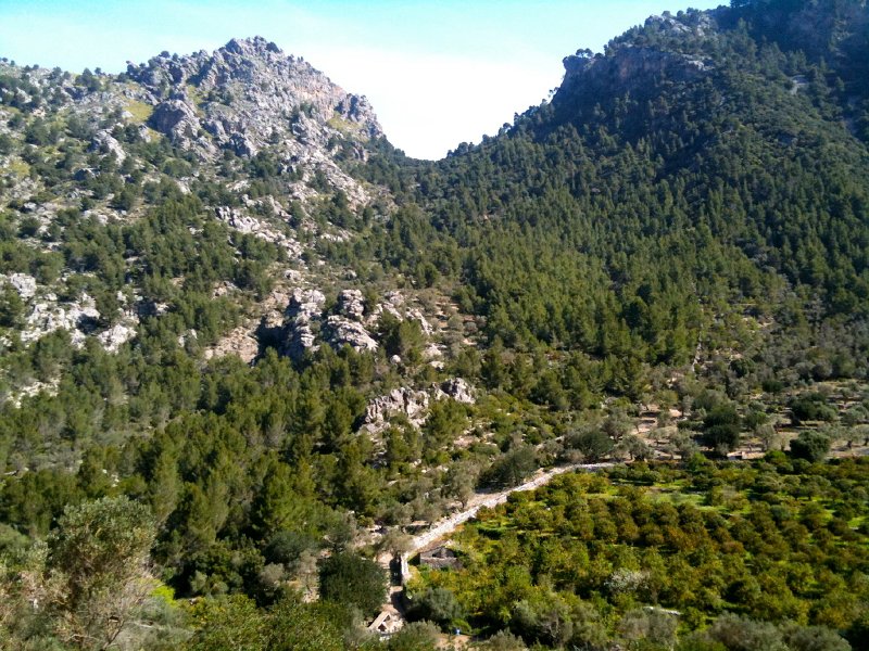 IMG_0412.jpg - Col de Biniamar