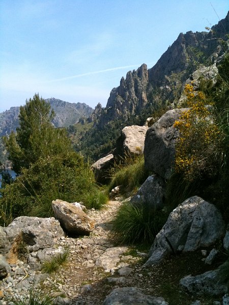 IMG_0425.jpg - Sa Costera