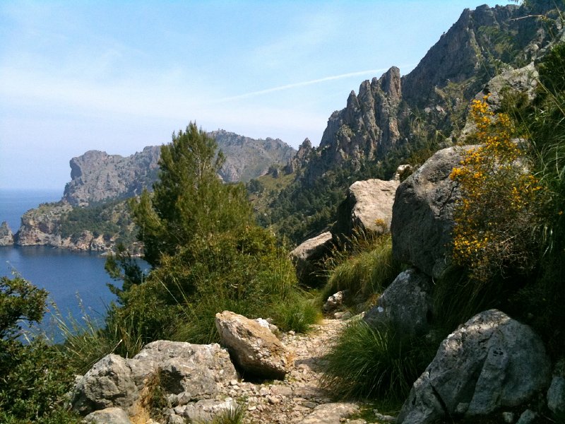 IMG_0426.jpg - Sa Costera
