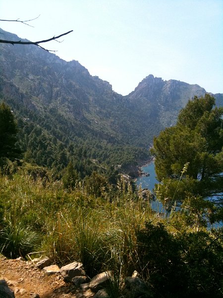 IMG_0428.jpg - Sa Costera