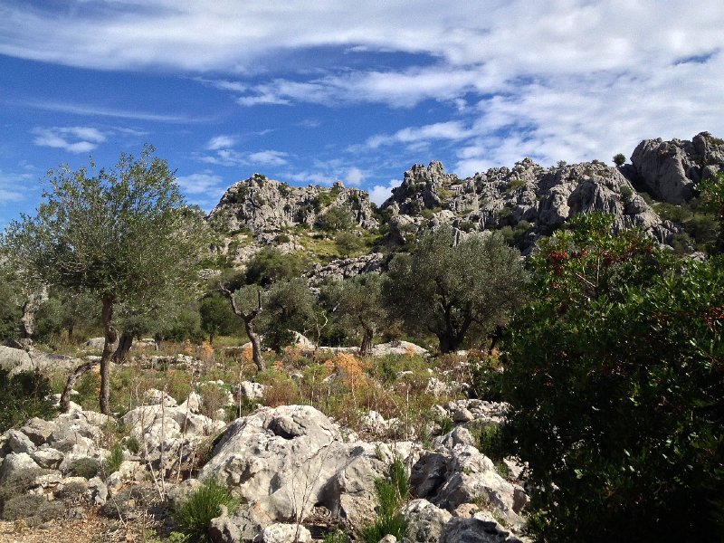 IMG_4304.JPG - Wilde Steinwelten