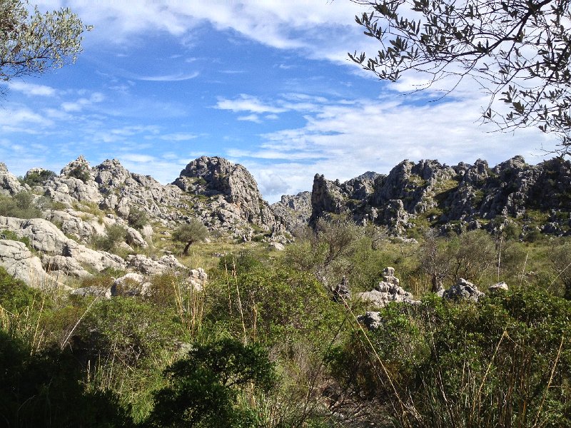 IMG_4306.JPG - Hier zweigt der Avenc des Lllorers in Richtung Hexenh�hlen ab