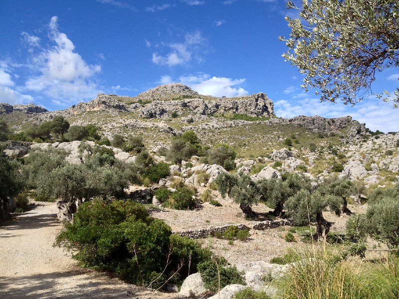 IMG_4308.JPG - Camino de ses Basses de Mortitx