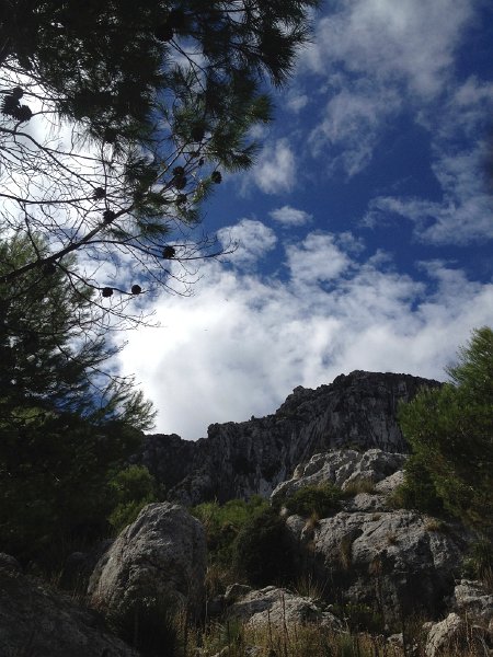 IMG_4316.jpg - Im Land der M�nchsgeier